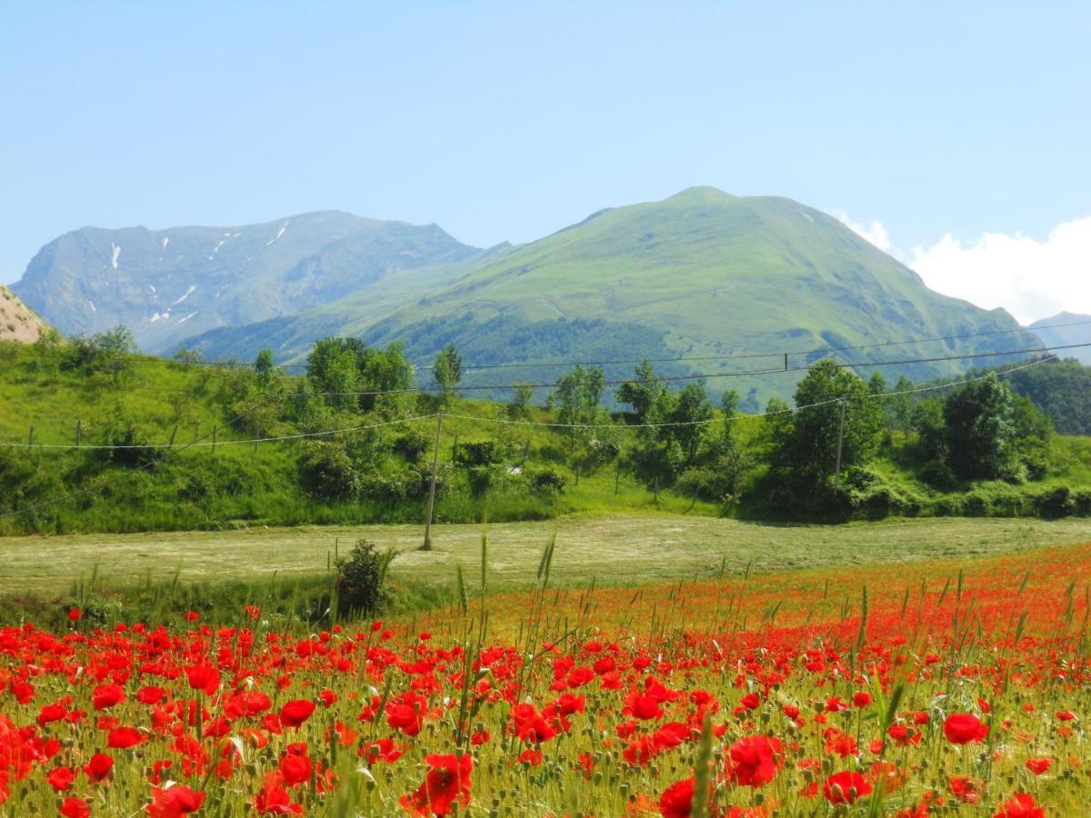 Agriturismo Le Castellare Montemonaco Exteriér fotografie