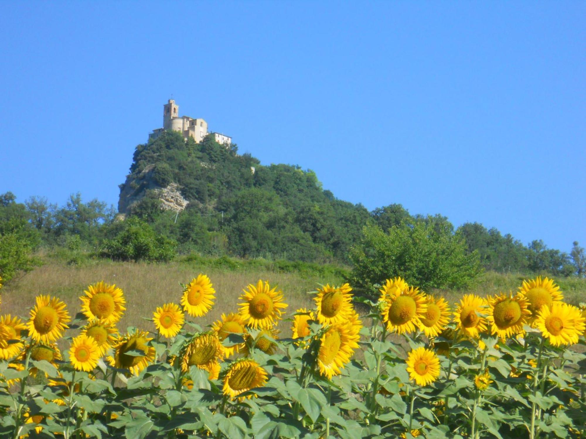 Agriturismo Le Castellare Montemonaco Exteriér fotografie