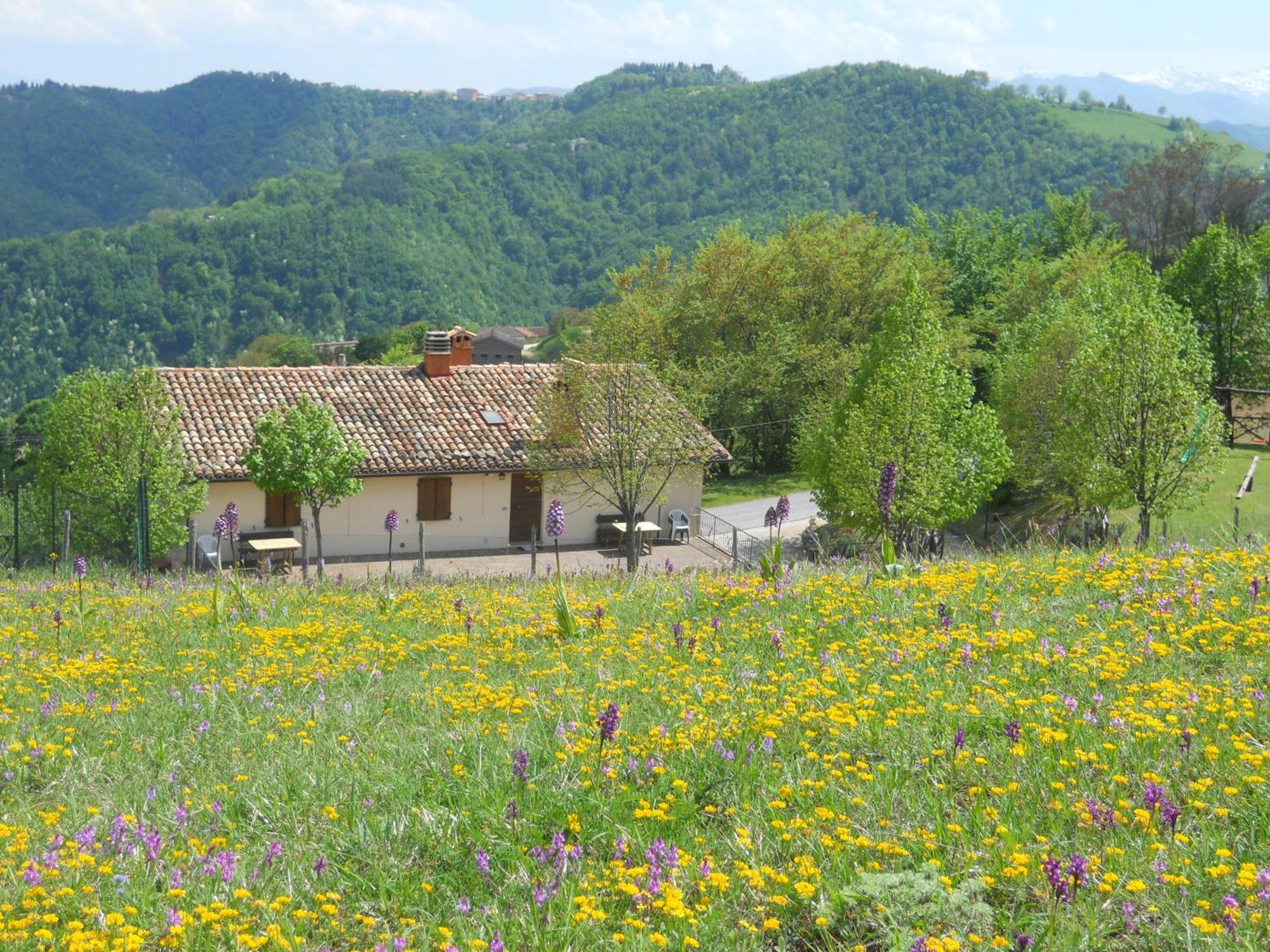 Agriturismo Le Castellare Montemonaco Exteriér fotografie