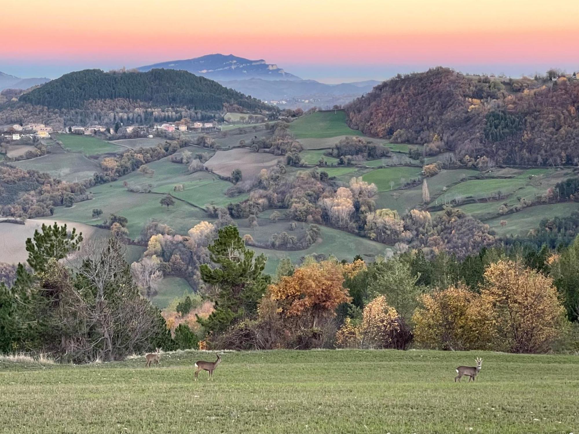 Agriturismo Le Castellare Montemonaco Exteriér fotografie