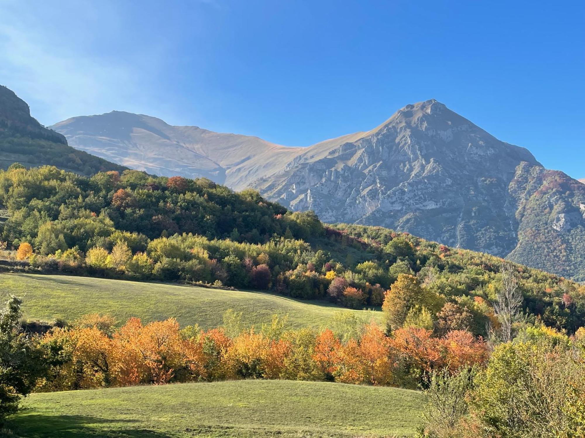 Agriturismo Le Castellare Montemonaco Exteriér fotografie