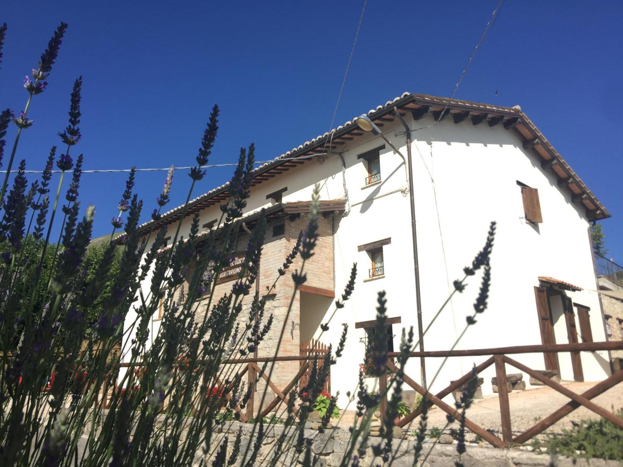 Agriturismo Le Castellare Montemonaco Exteriér fotografie