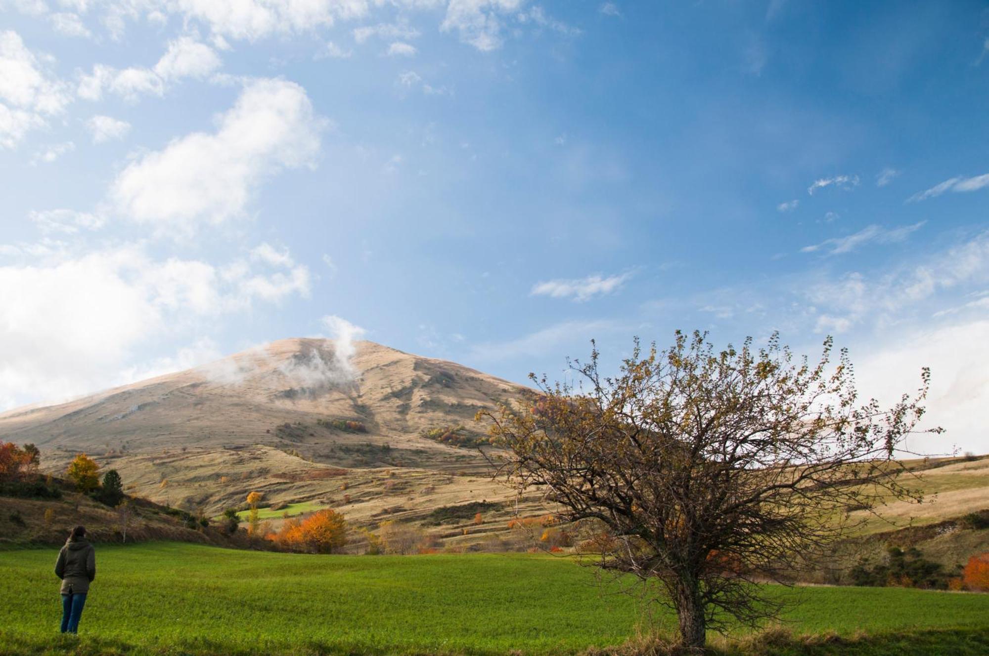 Agriturismo Le Castellare Montemonaco Exteriér fotografie